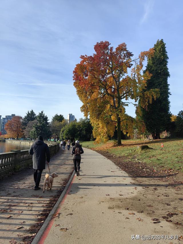 温哥华游记（四）