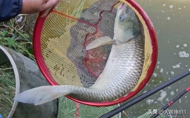 认识大美河南的每个县——第32波：清丰