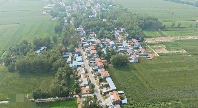 魅力曹县楼庄镇