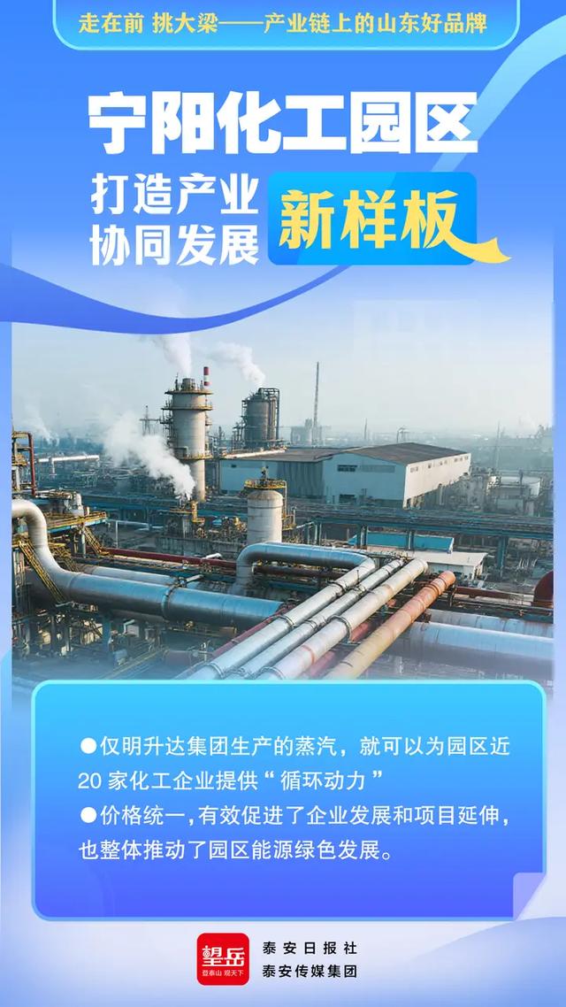 走在前 挑大梁——产业链上的山东好品牌丨望岳AI海报·宁阳化工园区打造产业协同发展新样板