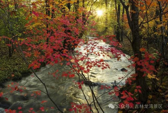 国庆游吉林龙湾景区，赏秋日美好盛景