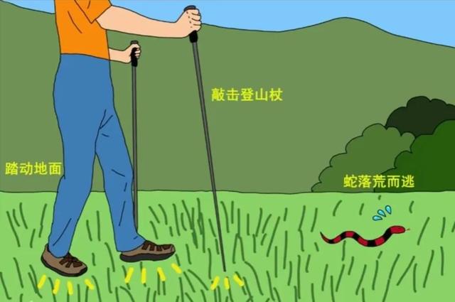 大理夏季防蛇攻略请查收
