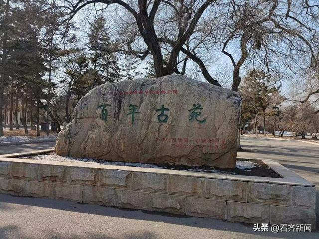 鹤城“顶流”！每年超千万人来打卡