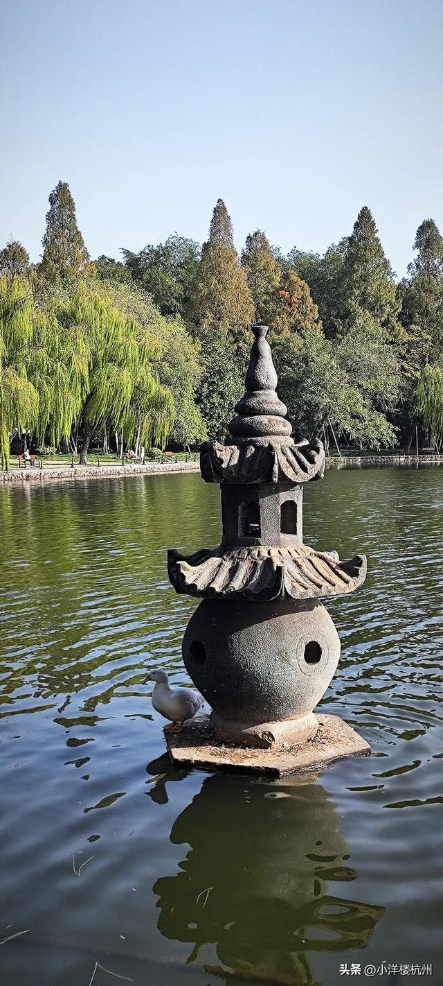 跟随树友们逛中国第一座现代植物园——浙大植物园