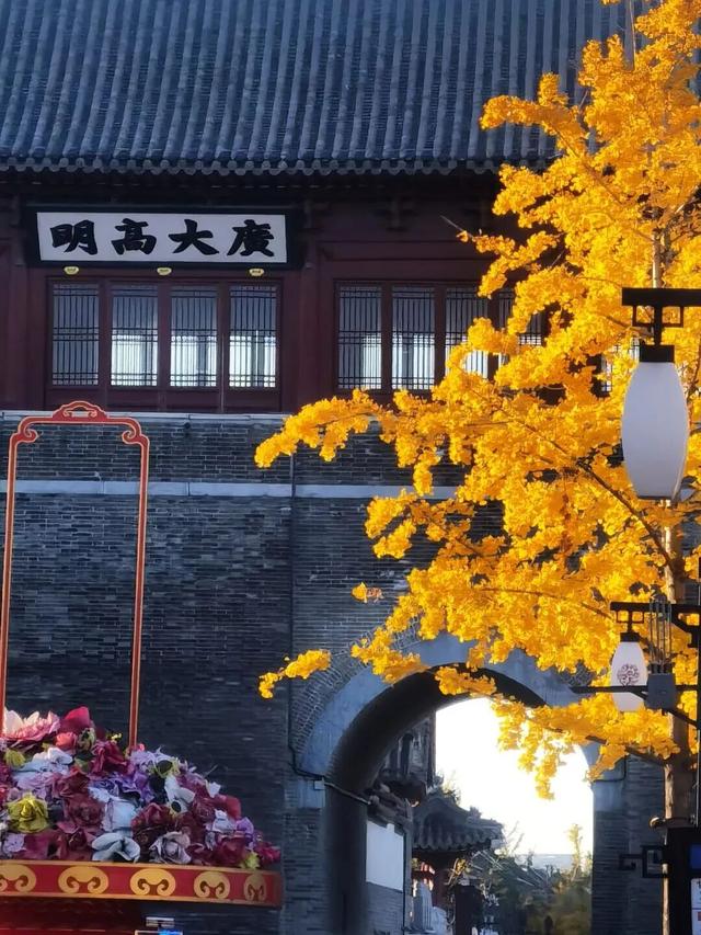这个季节总要去趟正定，去邂逅那迷人的古建红和金秋黄！