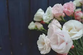 晨读 | 手机坏了图片