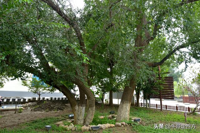 宝坻小辛码头：古渡辛埠藏雅韵，漕声千载忆根源