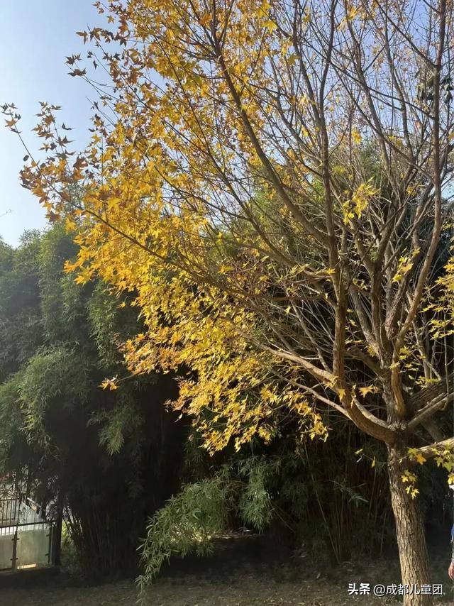 成都公园地图丨晒太阳不打挤的20个公园，东南西北全覆盖