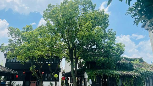 探秘苏州“神州水乡第一镇”——低调隽永的甪直古镇！