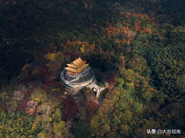 南京12月美到犯规！多个落羽杉打卡地+隐藏逛吃攻略，错过等一年