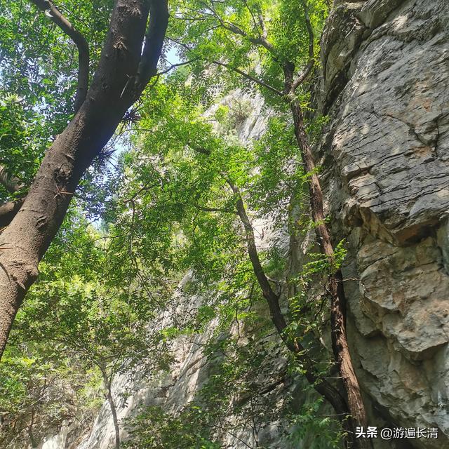 &056.炎炎烈日哪里去--张夏洞府天