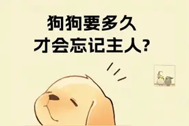 狗狗要多久才会忘记主人你知道吗？建议收藏备用图片