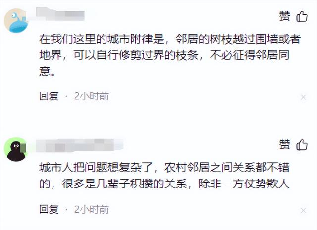 全红婵家盖房后续！邻居终于妥协，常年没人住，评论区风向反转