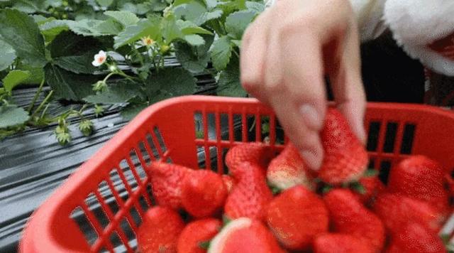 冰雪盛宴——阿荣旗冬季邀您共赴北国之约