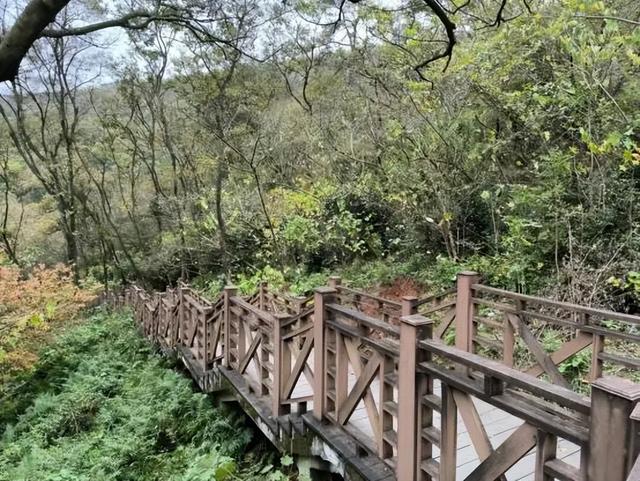 国际山岳日｜今天适合爬山~