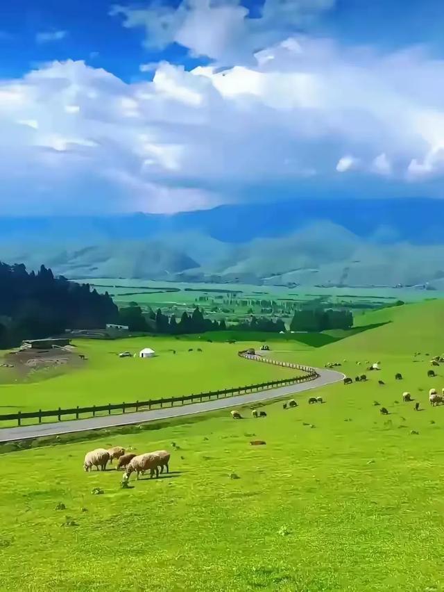想一个迅速返贫，就劝他去旅游，你对这句话怎么看？