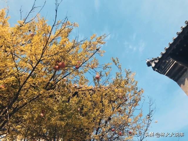 明日立冬，再忙也要记得：1不洗，2不吃，3不穿，4不碰，安康入冬