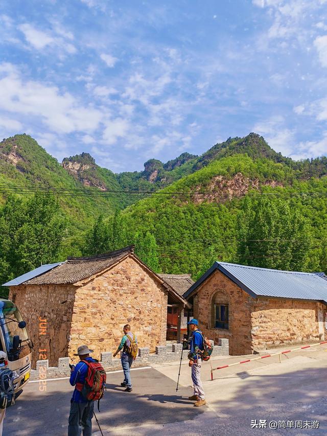7）山西阳城析城山圣王坪，在云端草甸邂逅狼毒花的美，与千年传
