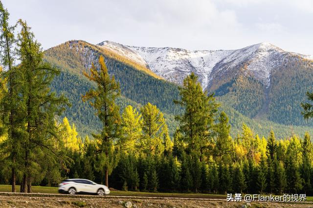 我的阿勒泰之旅(2)