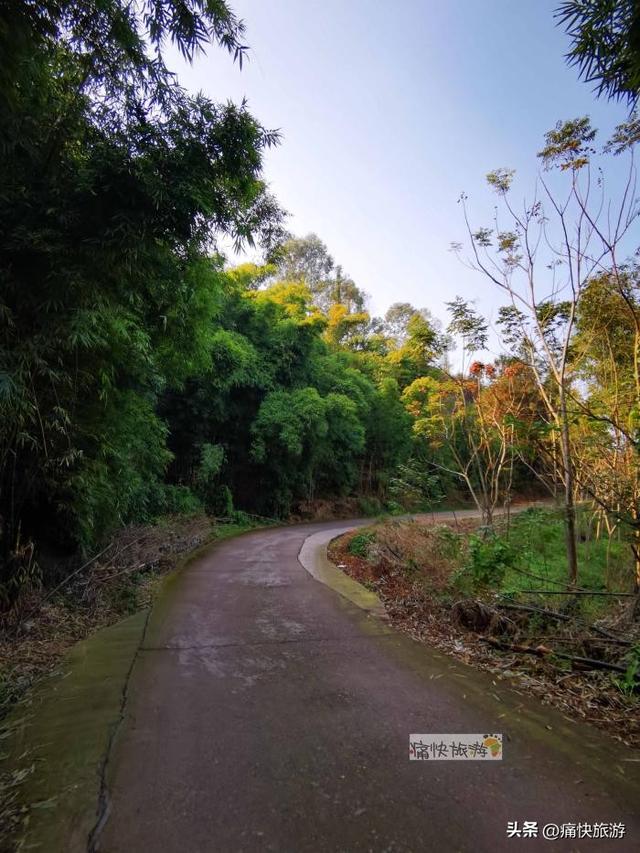 行走自贡：俞冲至万场的乡村风光