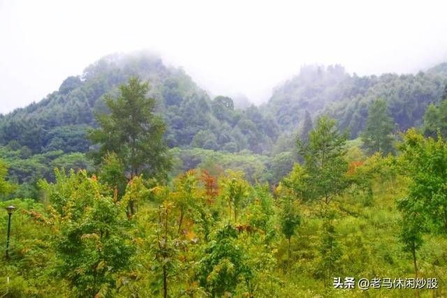 耿达——云如花飘,雾似露润