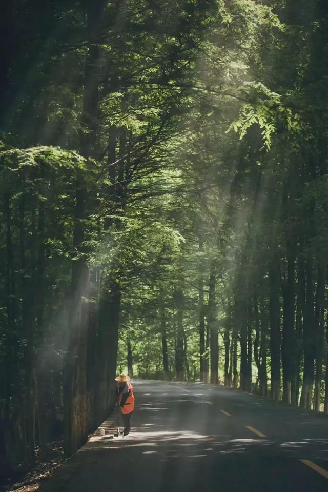全国十佳！汉中这条公路太火了！