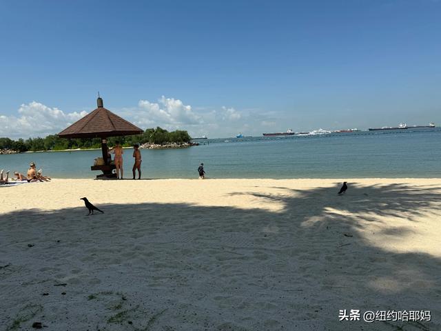 2025暑假 新加坡顺道游（二）