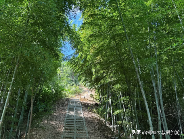 距离杭州1小时车程，有个泉水秘境，秋日风光中，可享田园野趣！