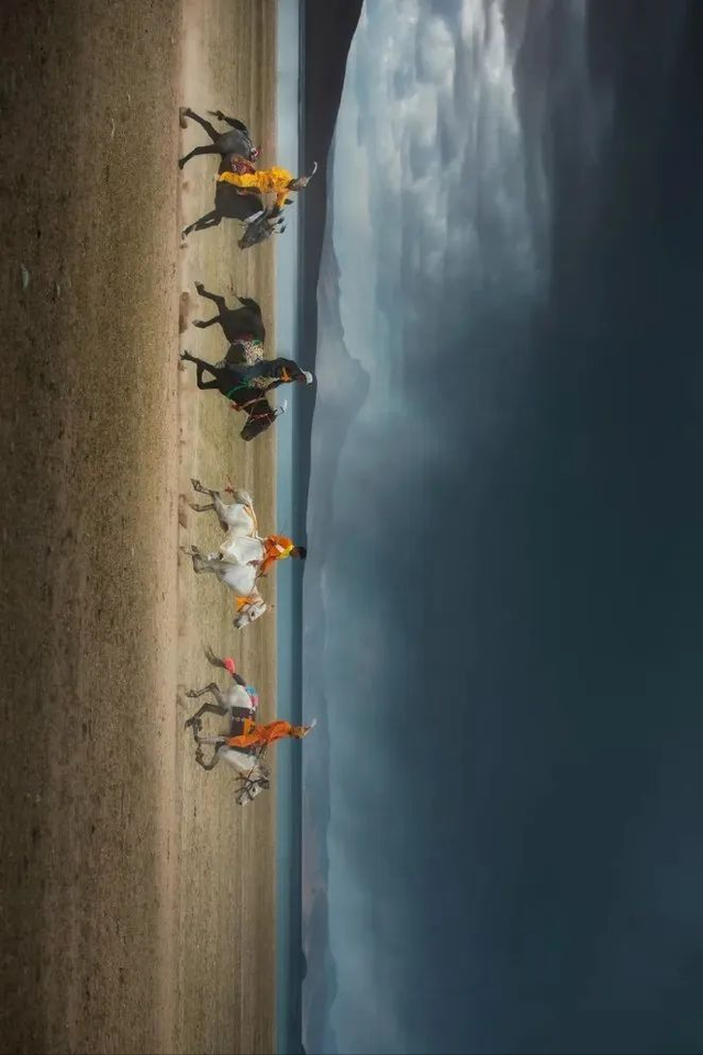 极地那曲不仅美在雪山湖泊，更美在每一棵生机盎然的树