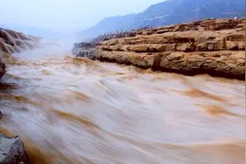 黄河每天冲鱼入海，但大部分淡水鱼在海里都活不了，它们去哪了？图片