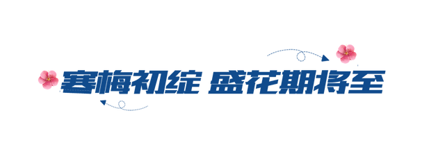 冬日顶流！朋友圈赏梅大赛，我先冲