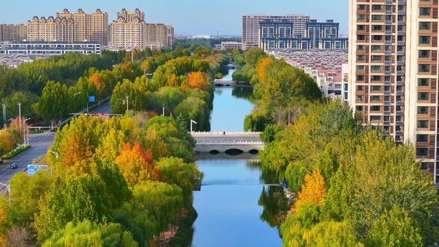 广饶初冬的仪式感来了！