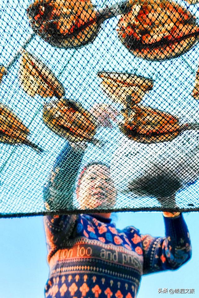 这才是嵊泗秋日最美画卷。嵊泗游子看了就想买票回岛！