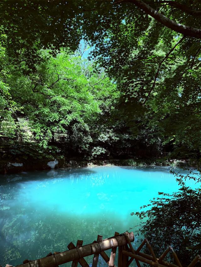 朦胧中坠入一场夏梦🍃 ​