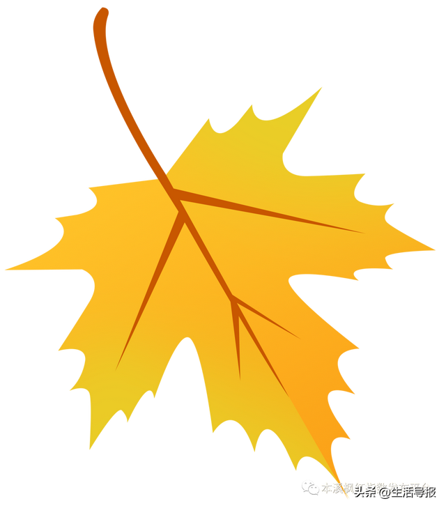 本溪市发布2023年10月1日枫红指数及市区未来三天天气预报