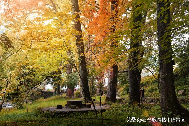 牯牛降记:一脚踏入人间仙境