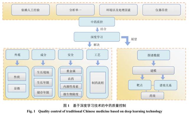 深度学习技术在中药质量控制中的应用与探讨