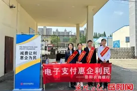 岳阳农商银行开展“电子支付惠企利民”宣传活动图片
