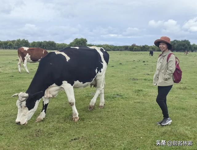 在额尔古纳和网友去了免费的湿地公园，晚上在青旅吃涮羊肉（十）