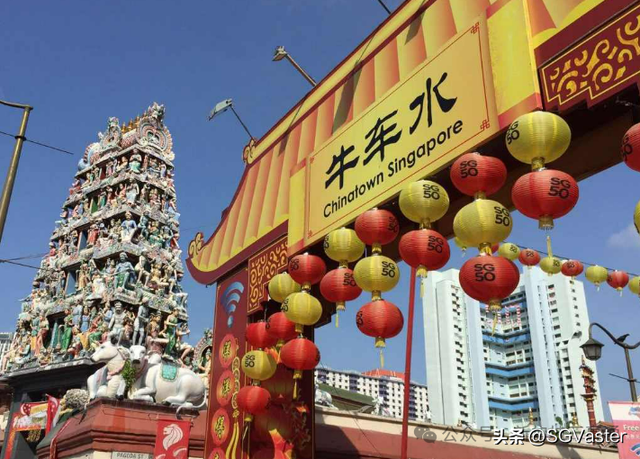 新加坡唐人街为什么叫牛车水？名字背后，藏着150年前华人血泪史