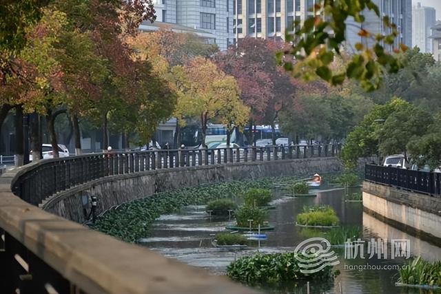 “深秋多巴胺”上新！ 在家门口遛弯就能邂逅莫奈限定版河道美景