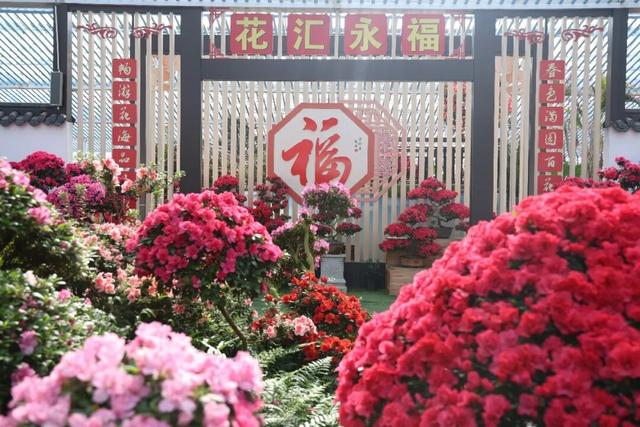 龙岩周末去哪儿｜看游龙、赏樱花，本周末必冲的两大惊喜目的地→