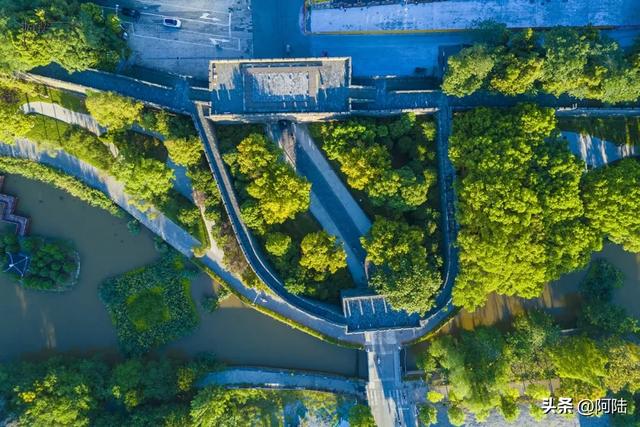 荆州的西门静悄悄,大树掩映着古城墙,郁郁葱葱更显冷清