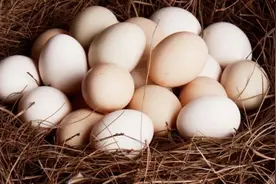 掼蛋的上层次与下层次图片