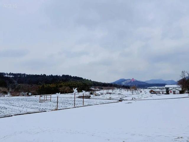 雪҈ 雪҈ 雪҈ 太美啦！快接住这“泼天”的雪白浪漫！