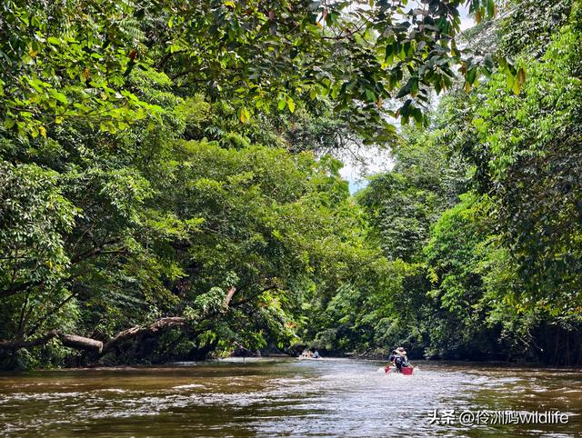 马来西亚(29)砂拉越州③姆鲁山清水洞·风洞