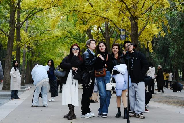 地坛银杏文化节明日开逛!秋日“赶集”天花板来啦→