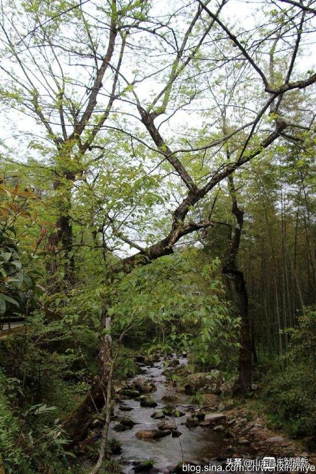 水口景区小记（江西之旅第八十八篇）
