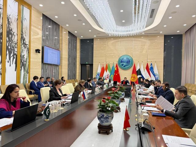 阅兵将近，九国一把手缺席，多国借机做文章，中方一句话透露玄机