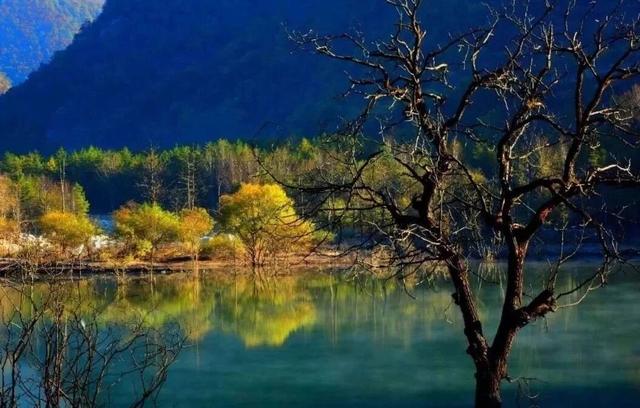 黄柏塬原生态风景区2025年冬季闭园公告